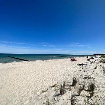 Kuestenfeuer Zingst Luaran gambar