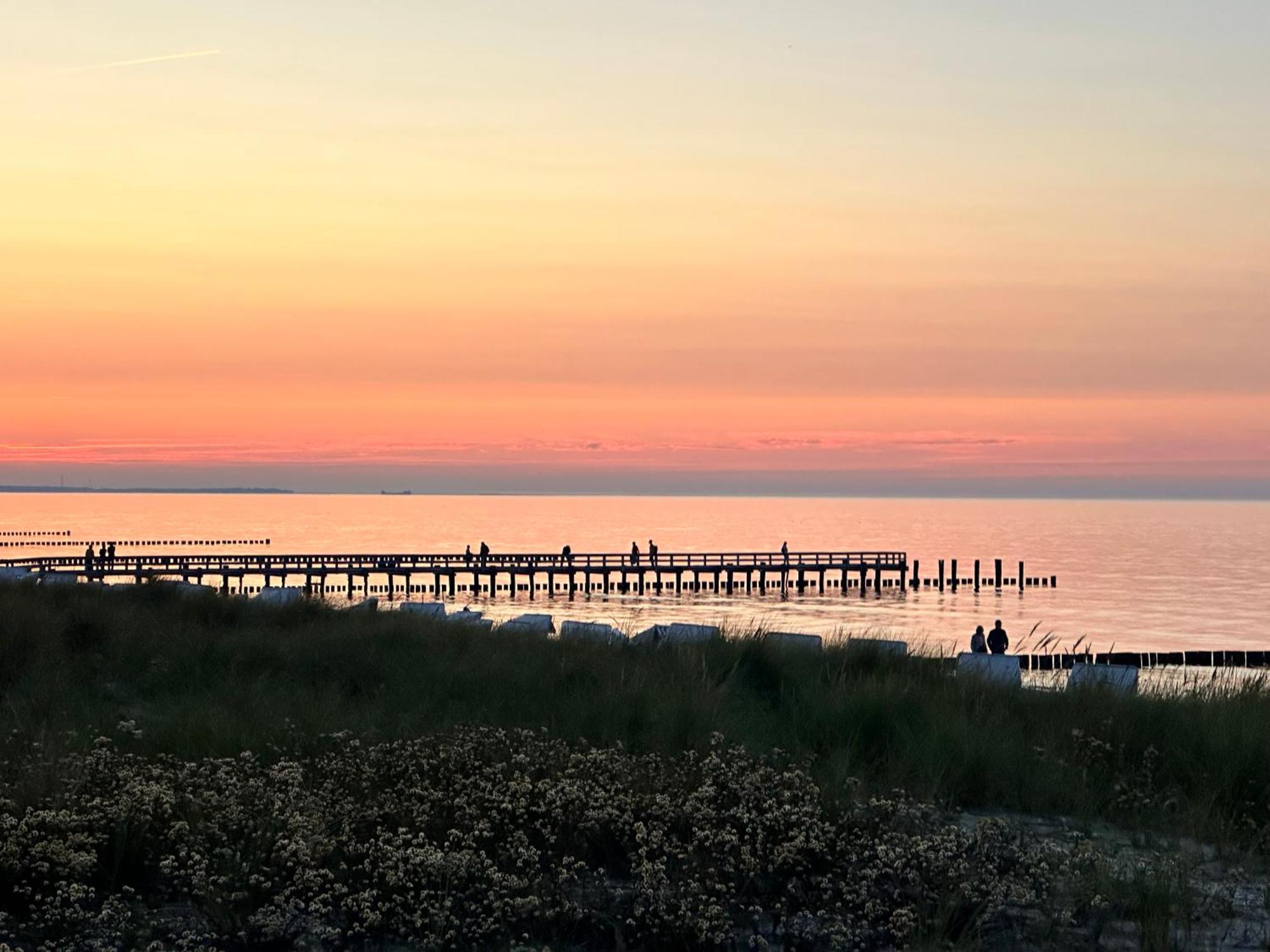 Kuestenfeuer Zingst Luaran gambar