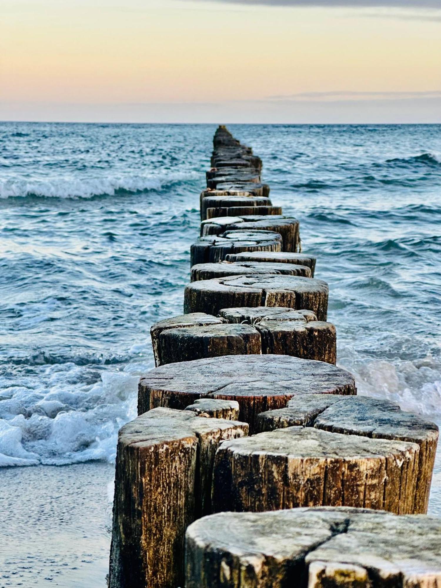 Kuestenfeuer Zingst Luaran gambar
