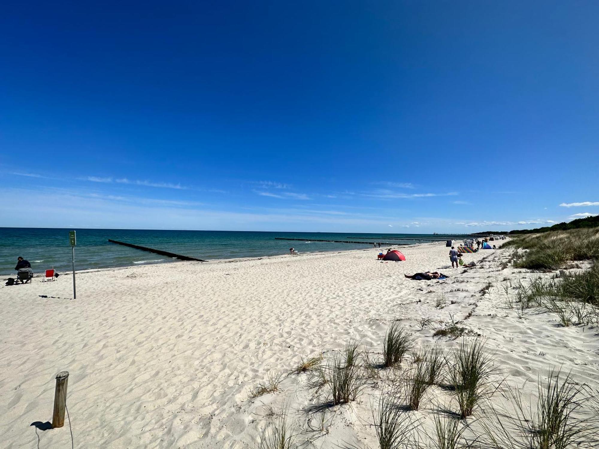 Kuestenfeuer Zingst Luaran gambar